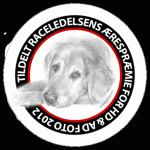 SU-LOGO-2012